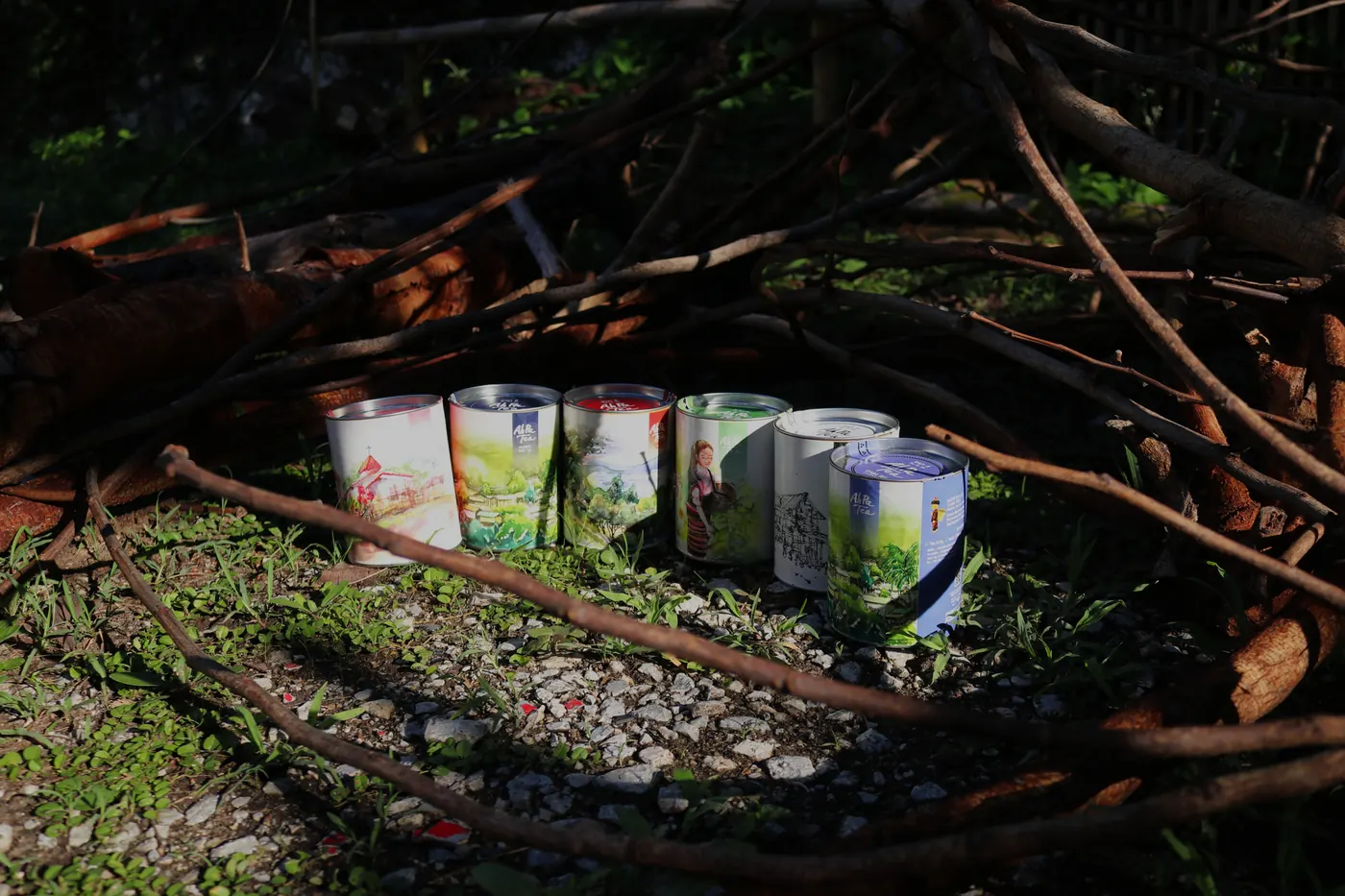 Printed mugs arranged on moss and gravel beneath intertwined branches.