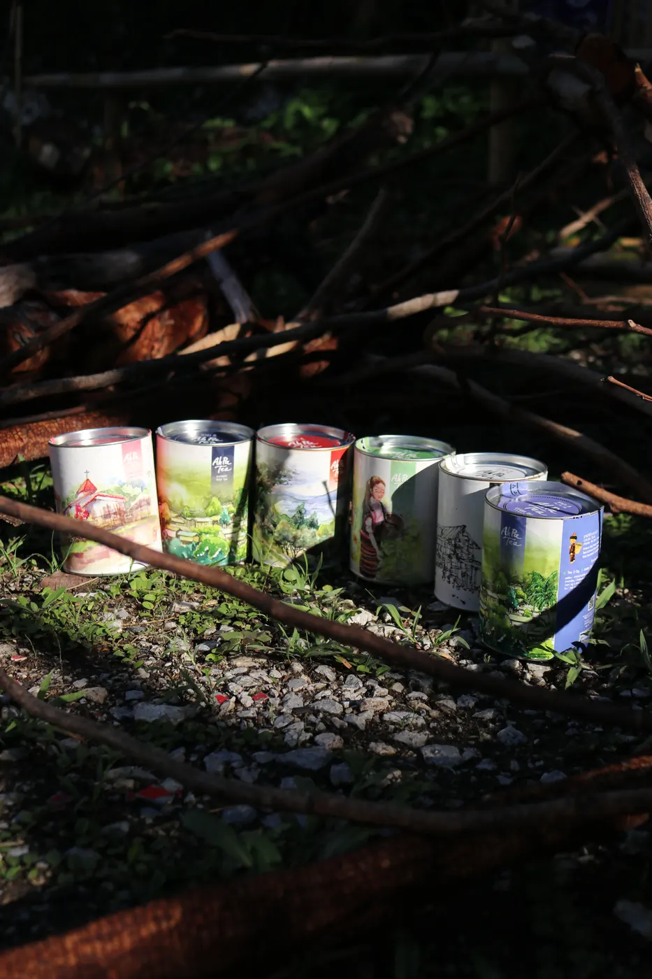 A row of printed mugs lit by sunlight beneath dark branches.